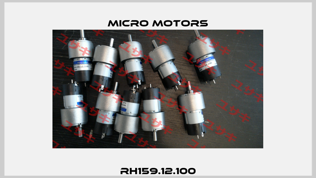RH159.12.100 Micro Motors