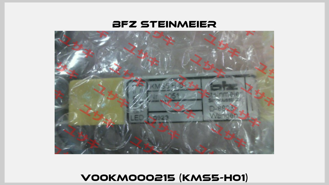 V00KM000215 (KMS5-H01) BFZ STEINMEIER