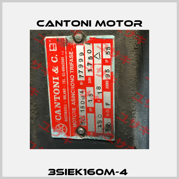 3SIEK160M-4  Cantoni Motor