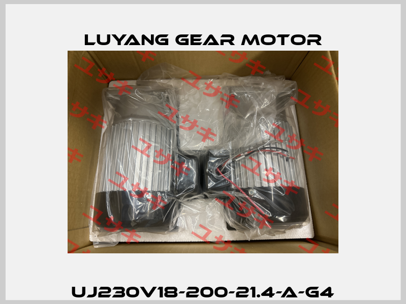 UJ230V18-200-21.4-A-G4 Luyang Gear Motor
